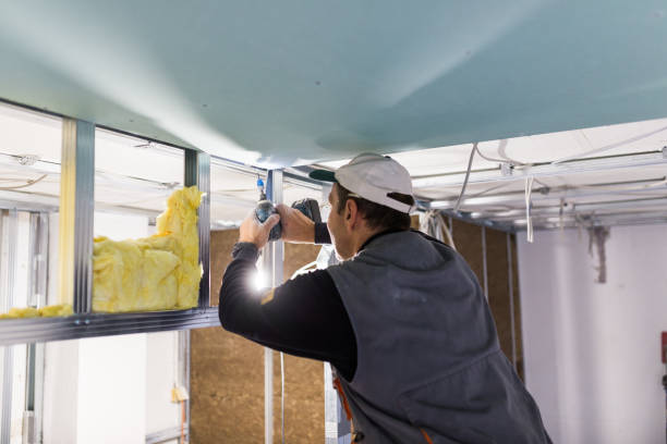Best Insulation Maintenance and Repair in Belwood, NC