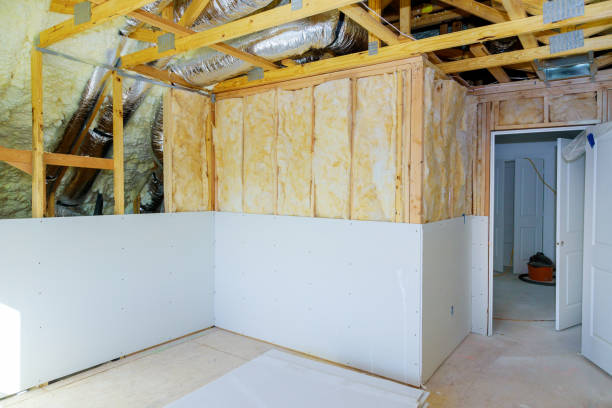 Best Cellulose Insulation in Belwood, NC