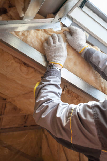 Best Geographic-Specific Insulation Services in Belwood, NC
